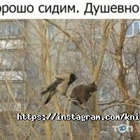Канцтовары Алтын кітап фото
