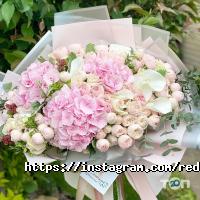 Червоненька квіточка Дніпро фото