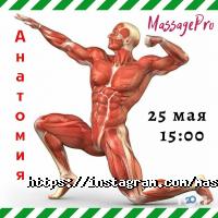 відгуки про МассажPRO фото