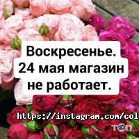 Colibri Дніпро фото