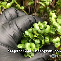 Растениеводство Trava фото