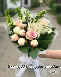 Амадин Дніпро фото