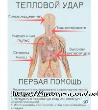 Медина отзывы фото