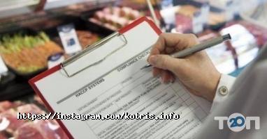 Консалтинговые услуги Котрис фото