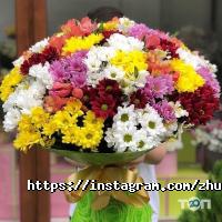 Zhuldyz Flowers отзывы фото