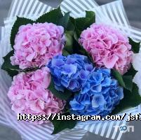 JSflor.kz отзывы фото
