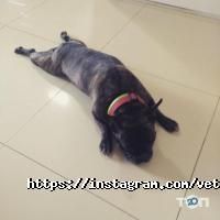 Ветеринарний будиночок Харків фото