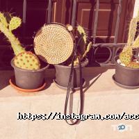 Магазини одягу та взуття Accessorize фото