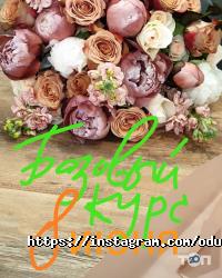 Одуван отзывы фото