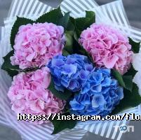 Оформление зала, доставка цветов Florida flowers фото