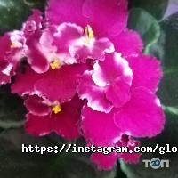 Gloriosa Астана фото