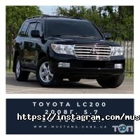 відгуки про Мустанг фото