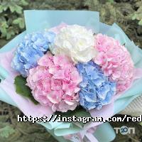 відгуки про Червоненька квіточка фото