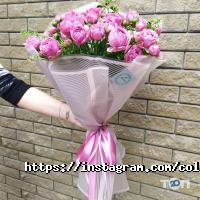 Магазини квітів Colibri фото