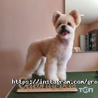 Зоомагазины и услуги для животных Celebrity Pets фото