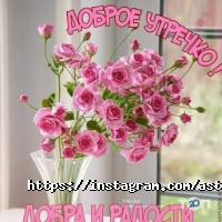 Rasaliya отзывы фото