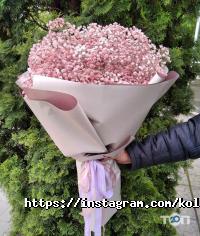 Колібрі відгуки фото