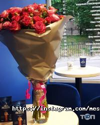 Meseta відгуки фото