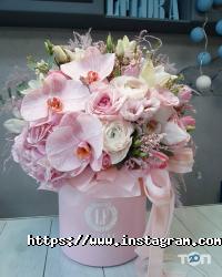 Lflora відгуки фото