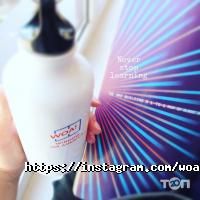 Вікно в Америку відгуки фото