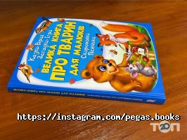 Пегас Харків фото