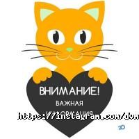 DOLCE VITA отзывы фото