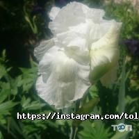 Смышленыш отзывы фото