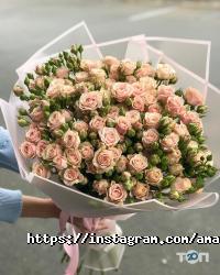 відгуки про Амадин фото