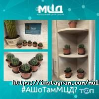 Громадські організації Молодіжний центр Дніпра фото