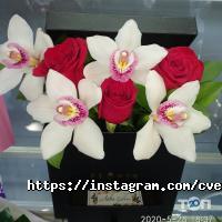 Lovi Buket отзывы фото