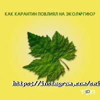 Сейф-Ломбард отзывы фото