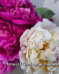 Магазини одягу та взуття Moda&Style фото