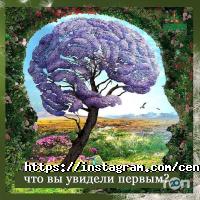 отзывы о PROЗРЕНИЕ фото