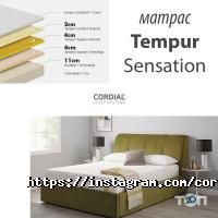 TEMPUR, торговая компания фото