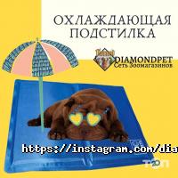 отзывы о DiamondPet фото
