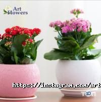 Art flowers Астана фото