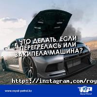 отзывы о Royal Petrol фото