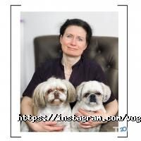 Зоомагазини і послуги для тварин V.O.G Dog Salon фото