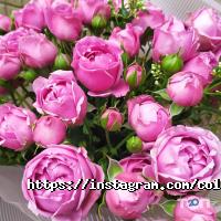 Colibri, квітковий салон фото