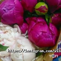 отзывы о Violette une fleur фото
