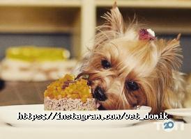 Ветеринарні клініки Ветеринарний будиночок фото