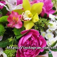 відгуки про Colibri фото