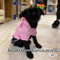 Dambo відгуки фото