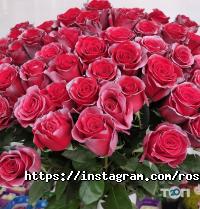 Rosalia Flowers отзывы фото