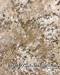 Elf decor Одесса фото