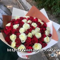 Jamilya flowers отзывы фото