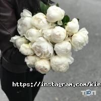 Garden Rose Київ фото