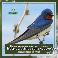 PROЗРЕНИЕ отзывы фото