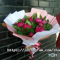 SHARLOT отзывы фото