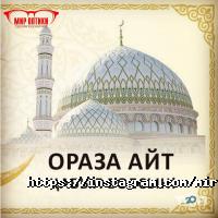 Мир Оптики отзывы фото